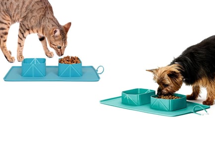 Silicone Folding Pet Bowl - Grey or Green