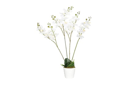 Artificial Orchid Plant in Pot