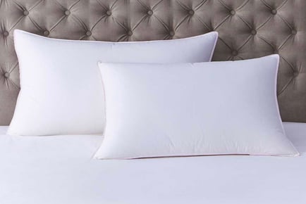1, 2 or 4 Extra Soft Bounce Back Pillows
