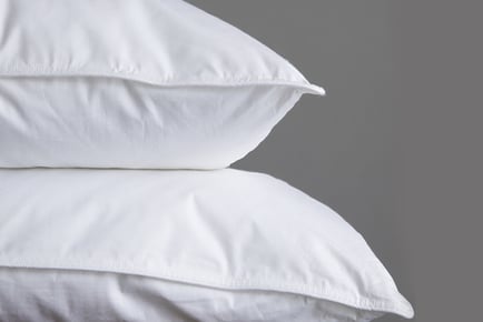 Hollowfibre Filled Anti-Allergy Pillows - 1, 2, or 4!