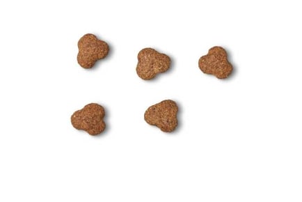 James Wellbeloved Natural Puppy Biscuits