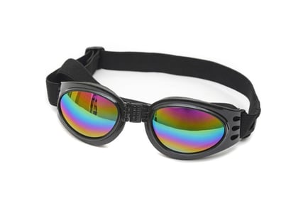 Cool Novelty Pet Sunglasses - 6 Colours!