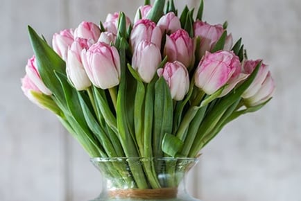 50% Discount Voucher Off Tulips - Flowers by Flourish