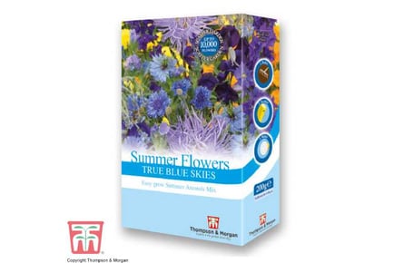 Scatter Seed Pack Summer Flowers