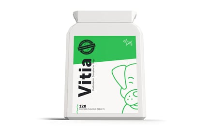 Vitia Multivitamin Complex Supplement for Dogs - 120 Tablets