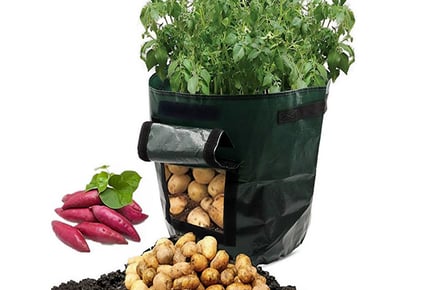 Heavy Duty PE Plant Bag - 7 or 10 Gallon