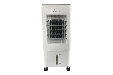 60W Portable Air Cooler 6L with Humidifier and Dust Filter
