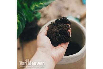 Peat Free Houseplant Compost