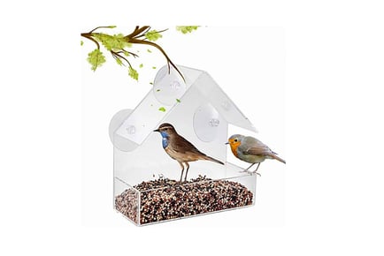 Acrylic Bird Food Bowl