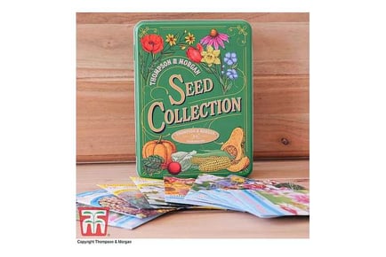 Seed Storage Tin + Flower Seeds
