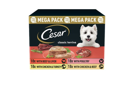 Cesar Wet Dog Food - 72 x 150g Pouches!