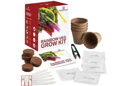 Rainbow Vegetable Seed Growing Kit
