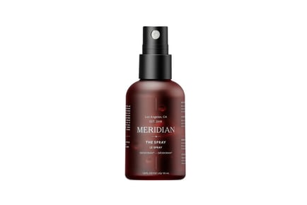 Meridian The Spray for Men's Skin 55ml