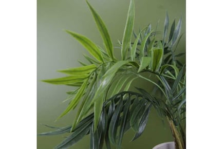 40cm Mini Tropical Palm,Decorative Plant