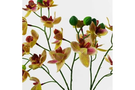 43cm Pink Yellow Artificia Orchid Decor