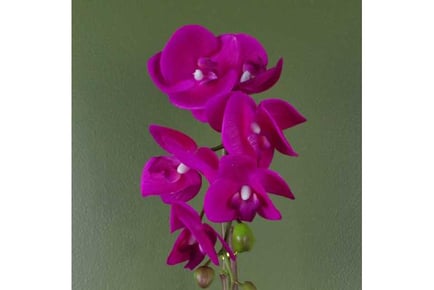 46cm Orchid, Decor Artificial Flower