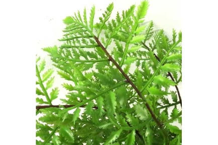 Pack of 3 Artificial Ferns