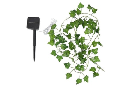 Solar Powered Ivy Fairy Lights - Four Size Options