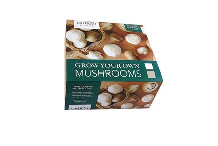 Mushroom Growing Kit - Brown Button Suffolk Mushrooms!