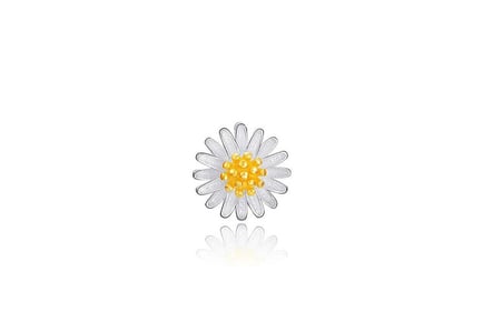 Silver and Gold Daisy Delight Long Necklace for Women