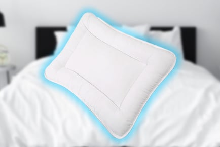 Anti Allergy Microfibre Cot Pillow for Toddlers