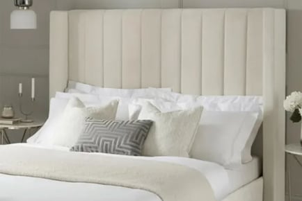 Elegant Velvet Panel Plush Bed Set and Mattress Options