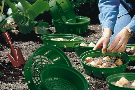 Gardening Bulb Basket or a Set of 3 or 10 Baskets