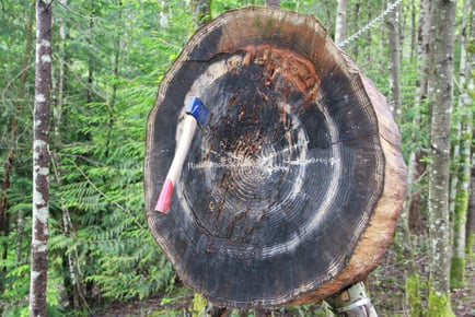 60 Min Axe Throwing Session for 4-6 in Belfast