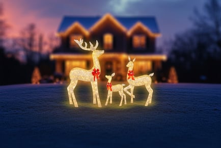 LED Christmas Reindeer Decoration - Small, Medium, Large!