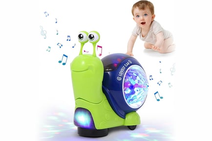 Crawling Musical Toy for Kids in 2 Designs and 4 Colour Options