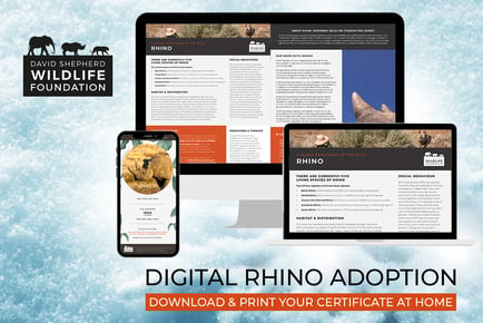 Rhino Adoption - Digital Pack - Support Conservation - David Shepherd Wildlife Foundation