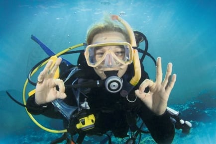 Discover SCUBA: Intro to Diving - Kent