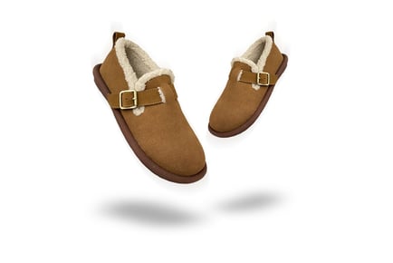 Birkenstock Inspired Faux Suede Buckled Mules in 5 Colours and 5 Sizes for Women