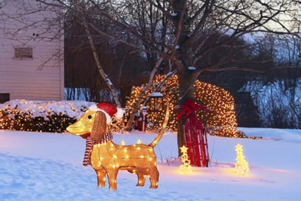 LED Dachshund Christmas Dog Outdoor Statue!