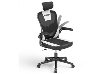 Office Chair with Adjustable Height in 2 Colour Options