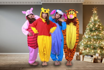 Novelty Winnie The Pooh Inspired Snuggle Onesies - 6 Styles!