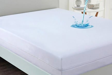 Ultimate Bed Bug Resistant Bed Bundle!