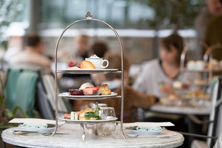 Festive Afternoon Tea for Two at Chess Master Cafe