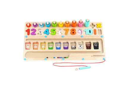 3 In 1 Wooden Magnetic Colour Sorting Board