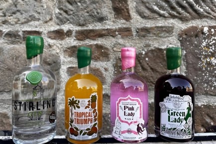 Gin or Whisky Experience - Welcome Drink & Tour - Stirling Distillery