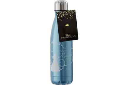 Cinderella Water Bottle Stainless Steel