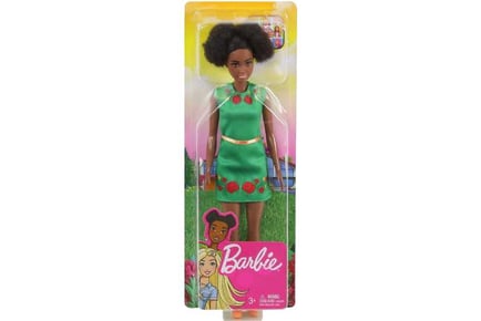 Barbie Dreamhouse Adventure Nikki Doll