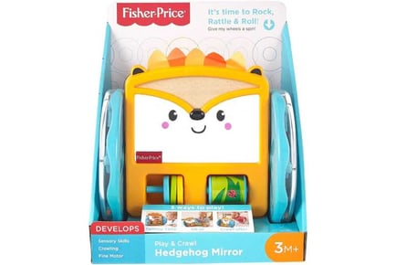 Fisher-Price Play&Crawl Hedgehog Mirror