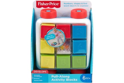 Fisher-Price Pull Along Activity Blocks