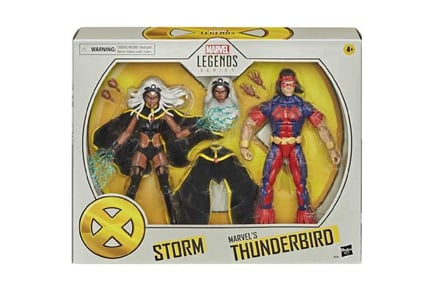 Storm and Marvels Thunderbird