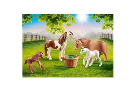 Playmobil 2 Ponys w/ 2 Foals 70682