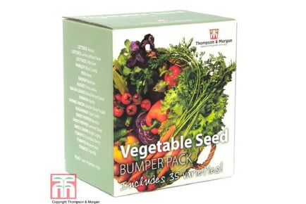 Bumper Veg Seed Kit (35 Packs)