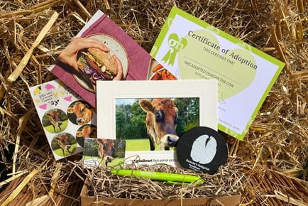 Adopt A Cow - Digital or Physical Package!