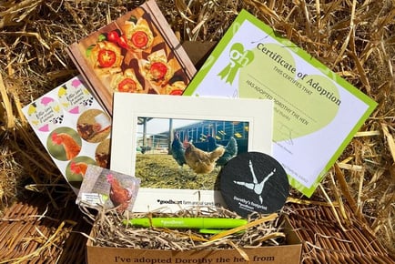 Adopt A Hen - Digital or Physical Package