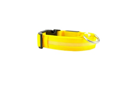 USB Rechargeable LED Dog Collar - 7 Colours!